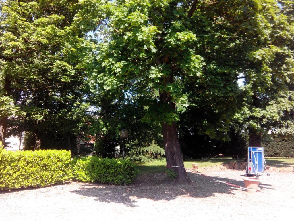 Hotel Etesia Feurs Exterior photo